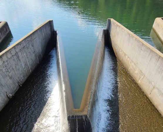 Lyman Run Lower Campgrounds