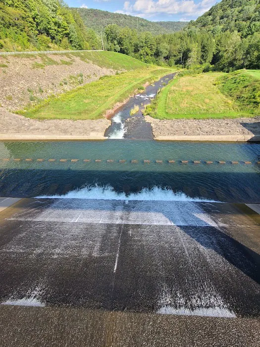 Lyman Run Lower Campgrounds 1