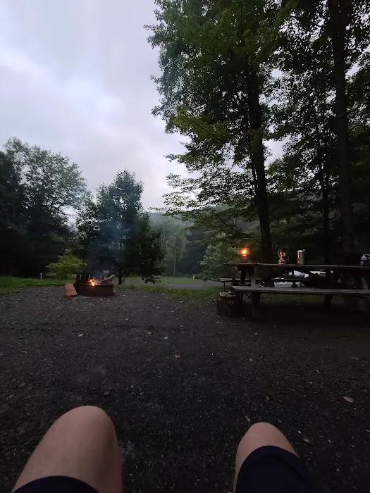 Lyman Run Lower Campgrounds 5