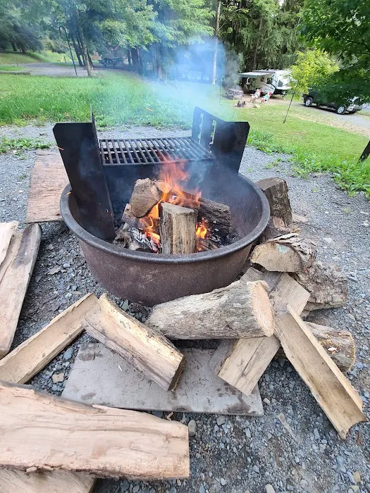 Lyman Run Lower Campgrounds 2