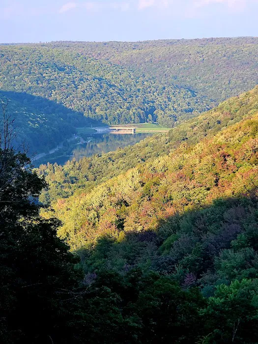 Lyman Run Lower Campgrounds 4