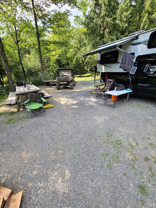 Lyman Run Lower Campgrounds 6