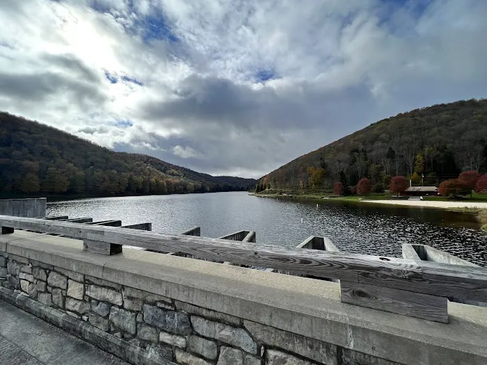 Lyman Run Daggett Campgrounds 1