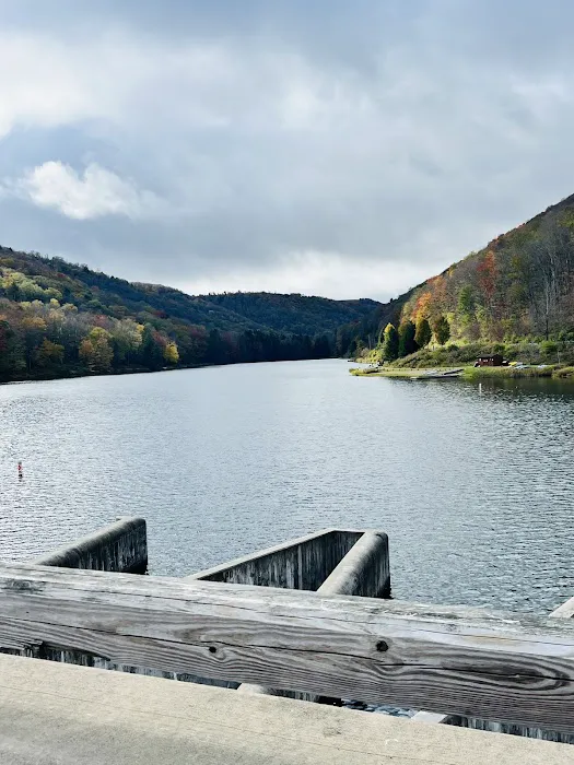 Lyman Run Daggett Campgrounds 2