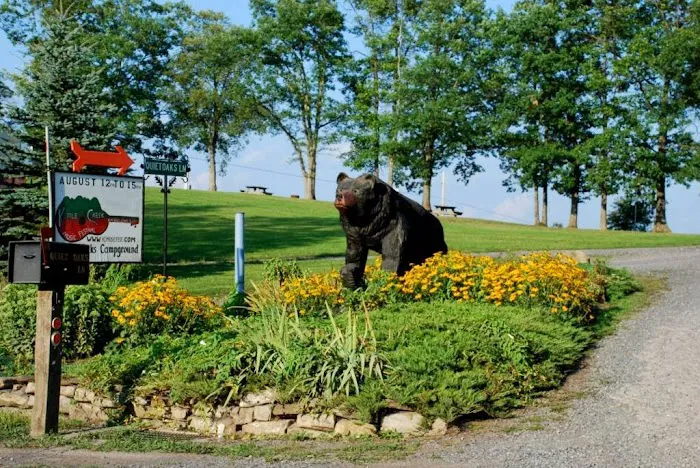 Quiet Oaks Campground 5