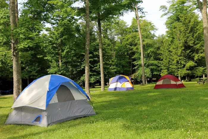 Cherry Springs State Park Rustic Campground 0