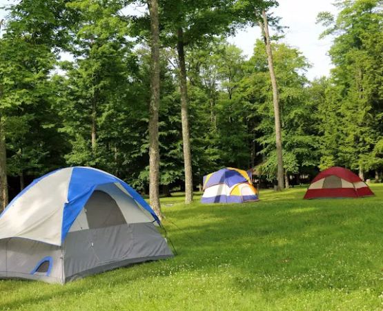 Cherry Springs State Park Rustic Campground