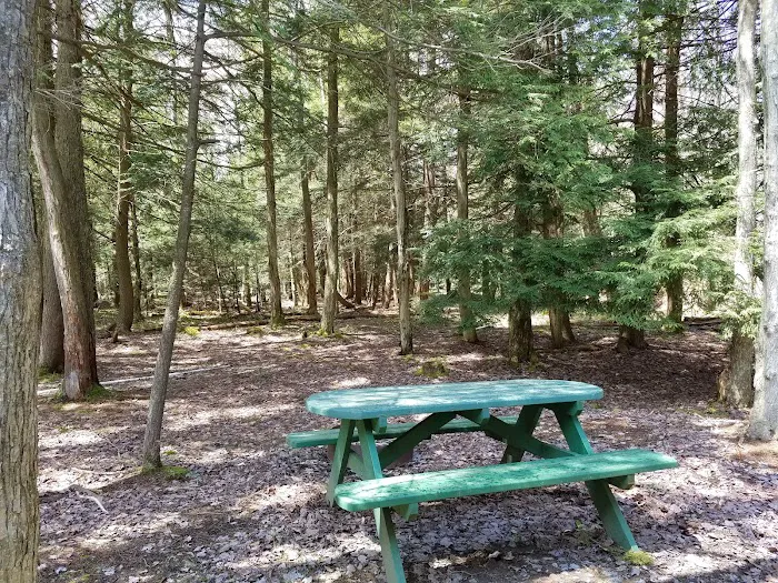 Potter County Family Campground 9