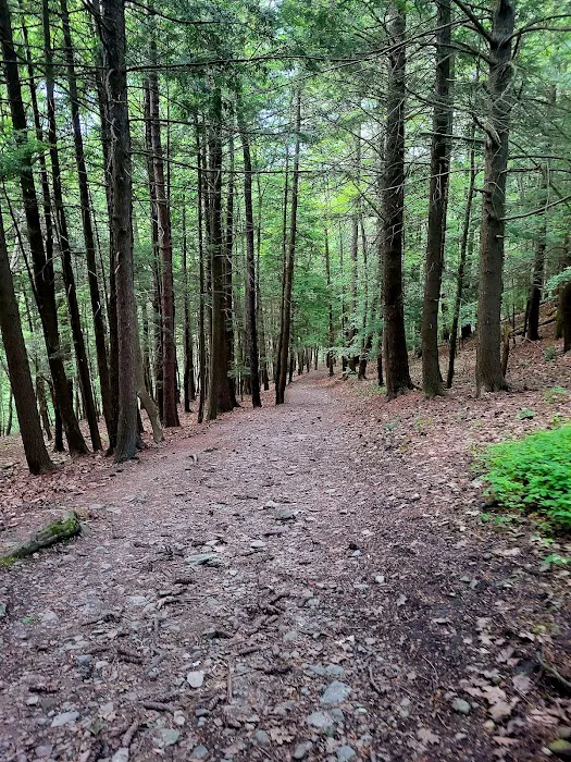 Six Nations Camping Area 8