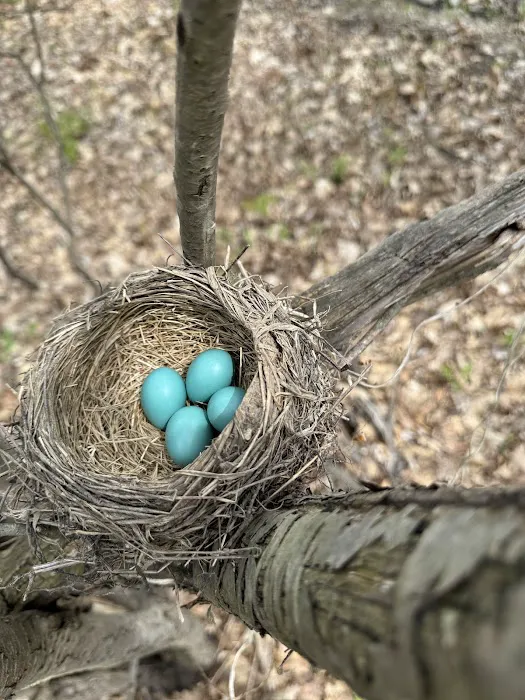OFF THE BEATEN PATH OF WATKINS GLEN Campground 1