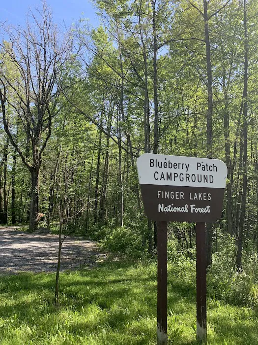 Blueberry Patch Campground 4