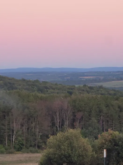 Blueberry Patch Campground 5