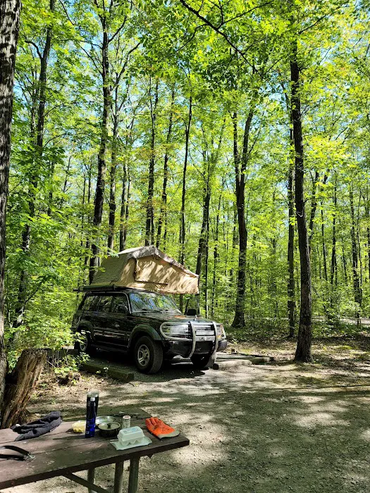 Blueberry Patch Campground 3