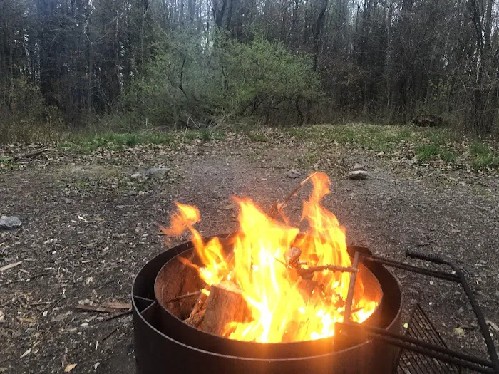 Blueberry Patch Campground 6