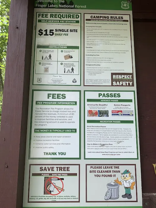 Blueberry Patch Campground 8