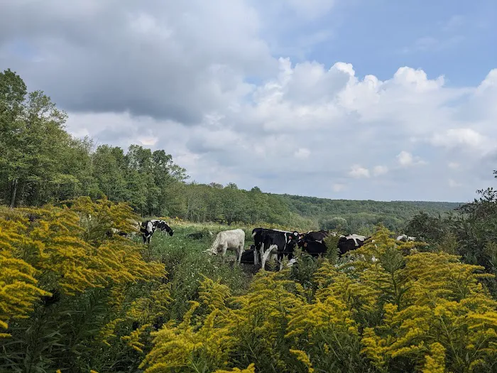 Blueberry Patch Campground 0
