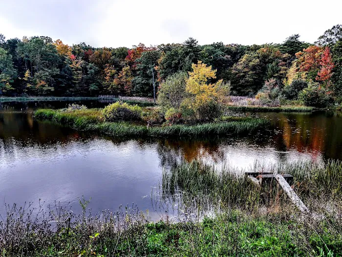 Potomac Group Campground 3