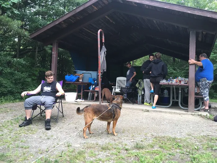 Potomac Group Campground 8