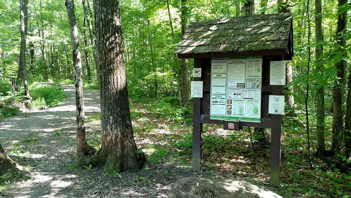 Potomac Group Campground 7