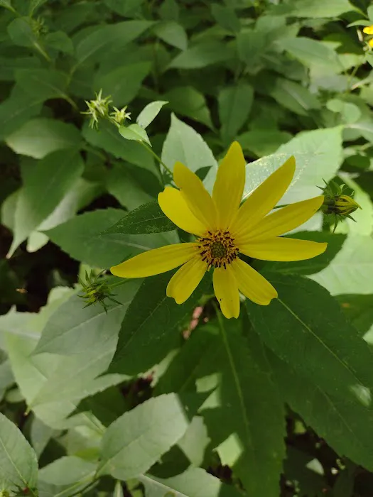 Potomac Group Campground 2