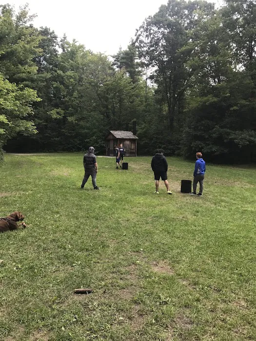 Potomac Group Campground 5