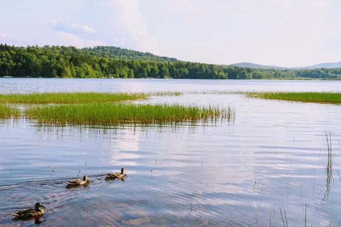 Backbone Horse Camp 2