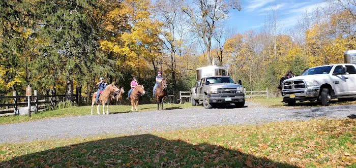 Backbone Horse Camp 1