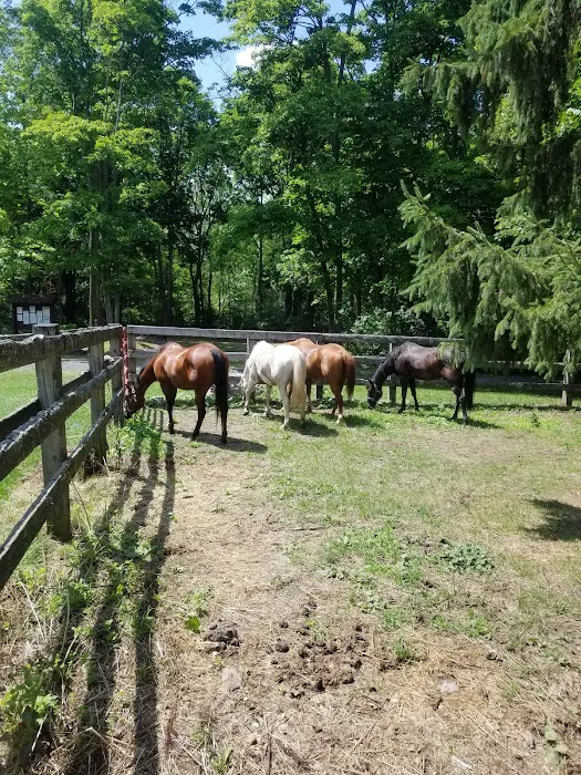 Backbone Horse Camp 3