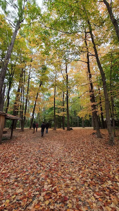 Spruce Row Campground 3