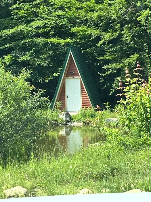 Salamander Hollow Healing Habitat 3