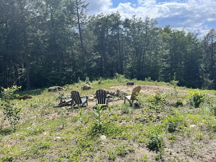 Salamander Hollow Healing Habitat 4