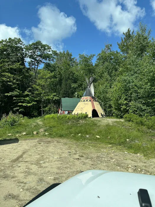 Salamander Hollow Healing Habitat 7