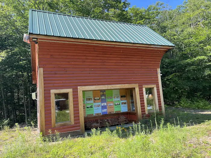 Salamander Hollow Healing Habitat 9