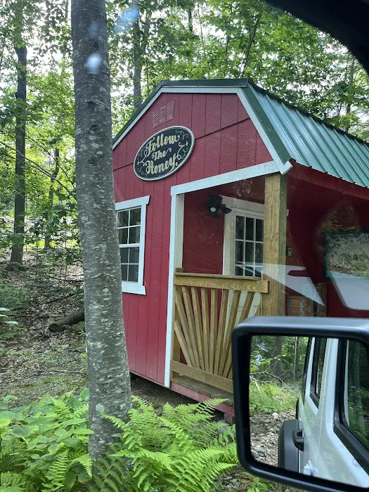 Salamander Hollow Healing Habitat 6