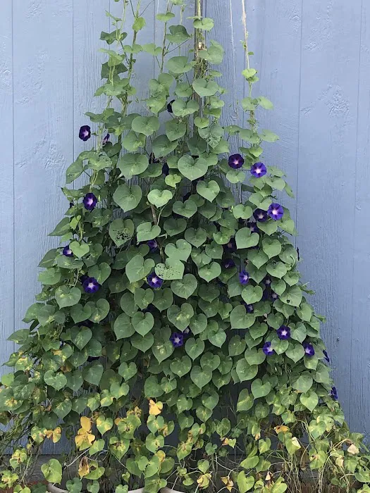 Leisure Woods Mobile Home Park 0