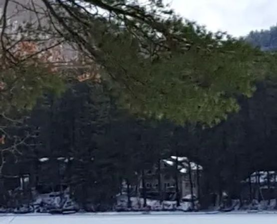 Forest Lake Campground