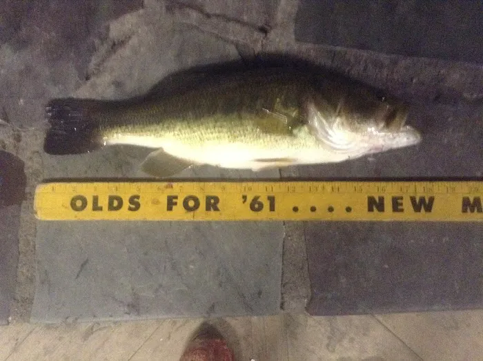 Shir-Roy Camping Area 7