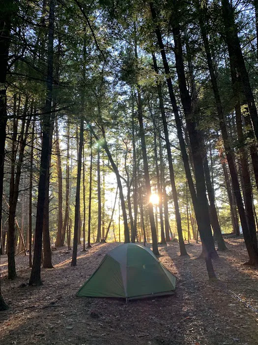 Tully Lake Campground 7