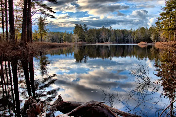 Tully Lake Campground 3