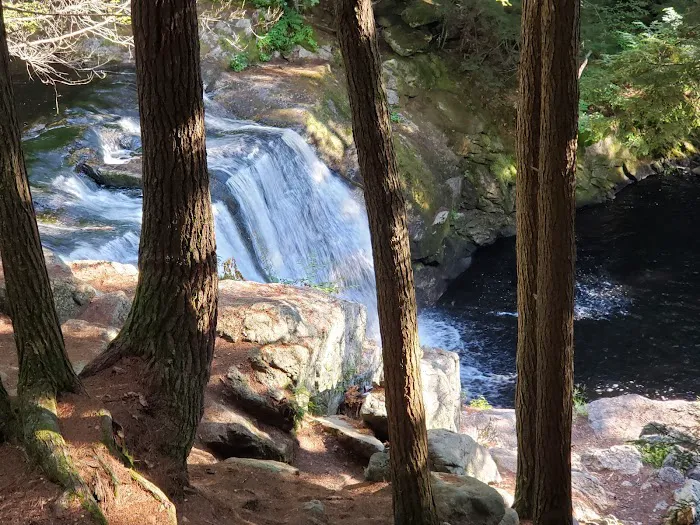 Tully Lake Campground 6