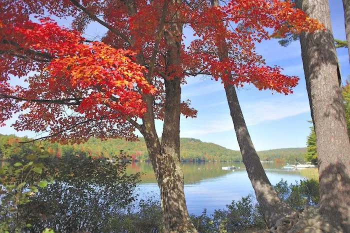 Swanzey Lake Camping Area 1