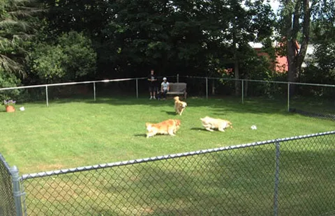 Brattleboro North KOA Journey 2