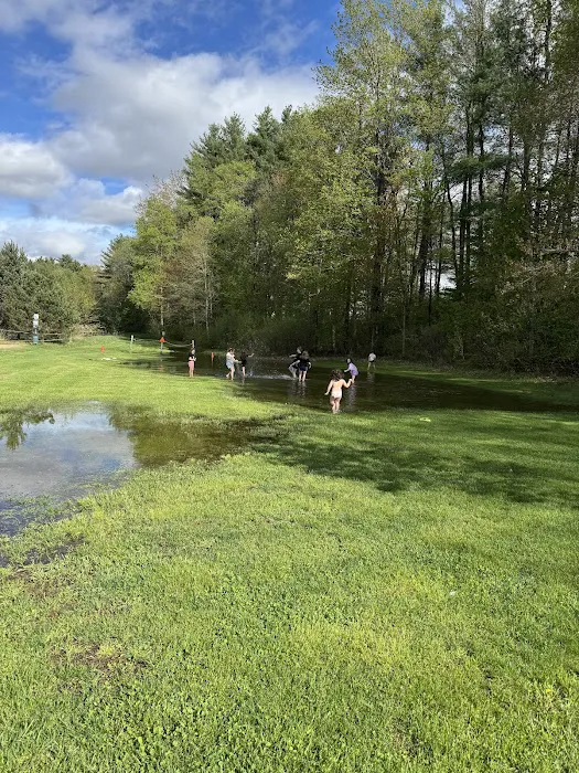 Ashuelot River Campground 9