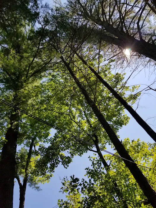 Laurel Lake Campgrounds 7