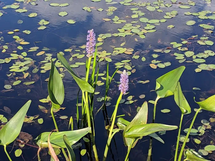 Hide - A- Way Cove Family Campground 5