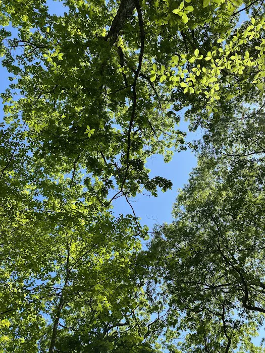 Hide - A- Way Cove Family Campground 6