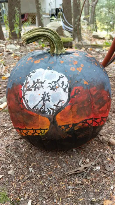 Bowdish Lake Camping Area 5