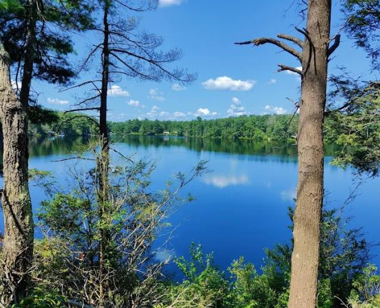 George Washington State Campground and Management Area