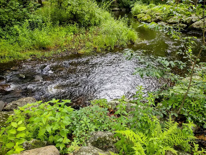 Colaluca Family Campground ) 8