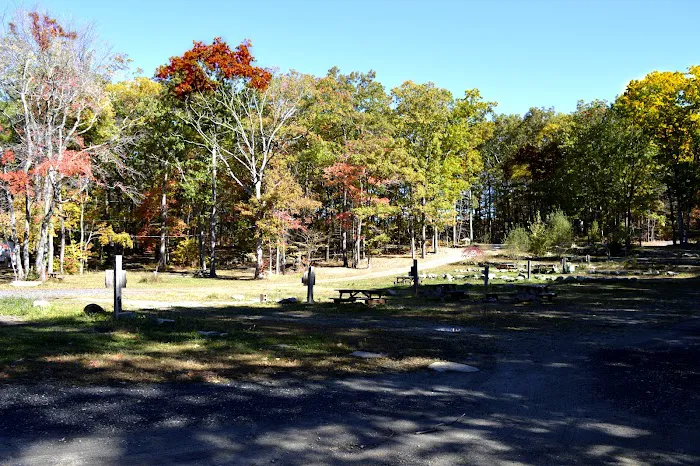 Douglas Forest RV Resort 0